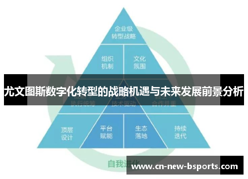 尤文图斯数字化转型的战略机遇与未来发展前景分析 尤文图斯数字化转型的战略机遇与未来发展前景分析