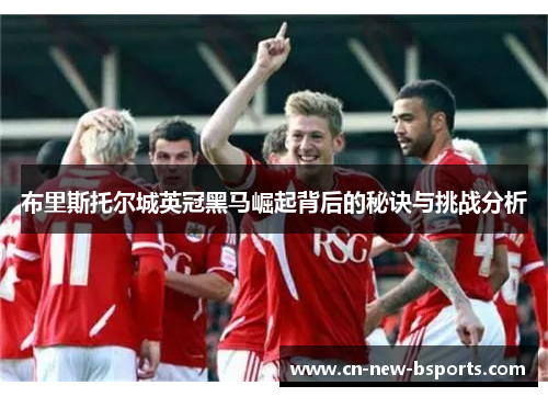 布里斯托尔城英冠黑马崛起背后的秘诀与挑战分析 布里斯托尔城英冠黑马崛起背后的秘诀与挑战分析