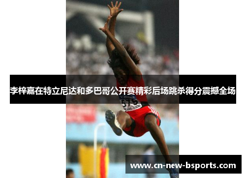 李梓嘉在特立尼达和多巴哥公开赛精彩后场跳杀得分震撼全场 李梓嘉在特立尼达和多巴哥公开赛精彩后场跳杀得分震撼全场